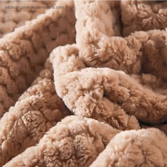 Microfibre Super Soft Coral Flannel Fleece Air Conditioning Travel Promotion Picnic Blanket